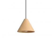  3988-10 LWA - Conique - 10" Pendant